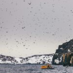 Zodiac boat and passengers view hundreds of birds in flight next to snow covered cliff shores in the Arctic. Arctic cruise Arctic travel