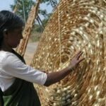 Silk worm wheel - in production of silk Guwhati - Vladimircech - India. Itinerary stop of River Cruise along The Brahmaputra River India.