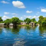 Meekong river with wooden cottages on river and the bank among the green jungle vegetation. River cruise Asia